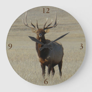 E59 Grote Bull Elk Klok