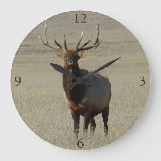 E59 Grote Bull Elk Klok (Voorkant)