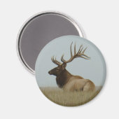 E5 Bull Elk Big Bull Magneet (Voorkant / Achterkant)