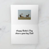 E5 Bull Elk en Yearling Kaart (Binnen)