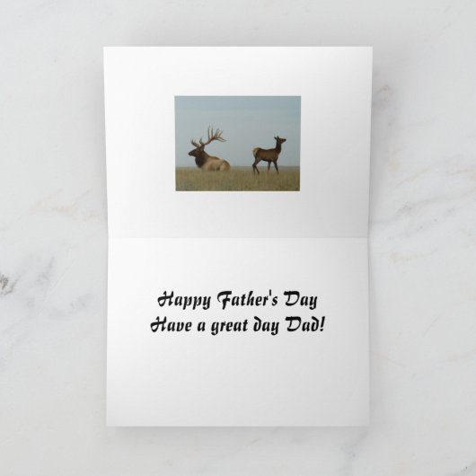 E5 Bull Elk en Yearling Kaart (Binnen)