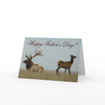 E5 Bull Elk en Yearling