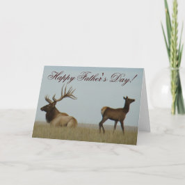 E5 Bull Elk en Yearling Kaart