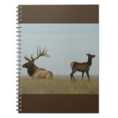 E5 Bull Elk en Yearling Notitieboek (Voorkant)