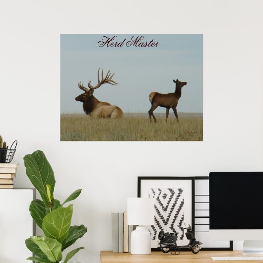 E5 Bull Elk en Yearling Poster (Thuiskantoor)
