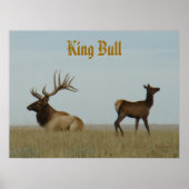 E5 Bull Elk en Yearling Poster (Voorkant)