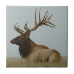 E5 Bull Elk Huge Bull Tegeltje