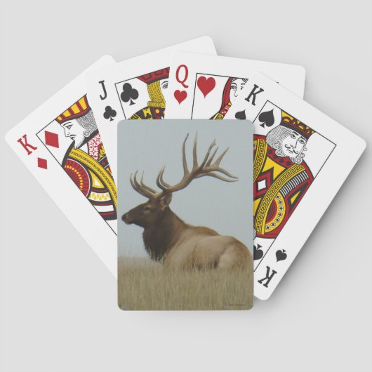 E5 Grote Stier Eland Baas Stier Pokerkaarten (Achterkant)