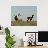 E5 mannetjeseland en jong mannelijk eland poster (Thuiskantoor)