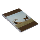 E5 mannetjeswapiti en jaarling notitieboek (Rechterzijde)