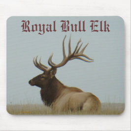 E5a Bull Elk Huge Bull Muismat