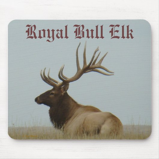 E5a Bull Elk Huge Bull Muismat (Voorkant)