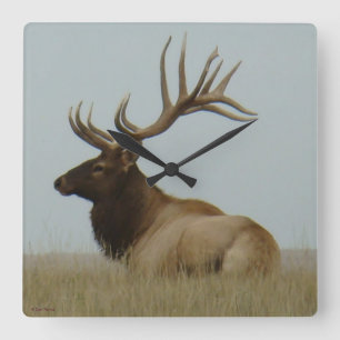 E5a Bull Elk Huge Bull Vierkante Klok