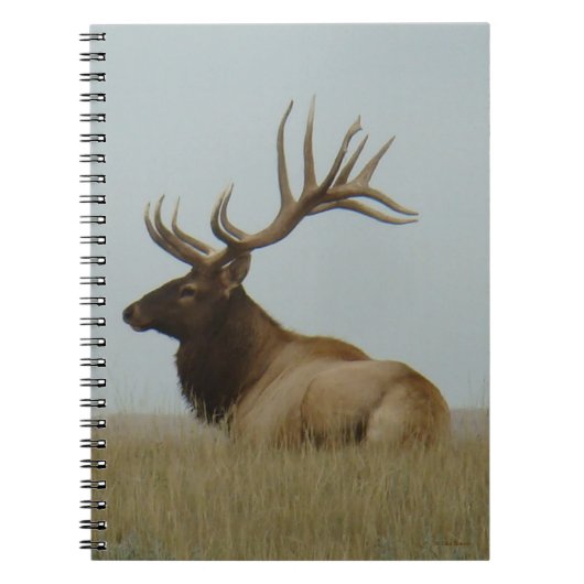 E5a Wapitihengst Grote Stier Notitieboek (Voorkant)