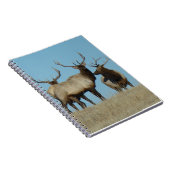 E60 Bull Elk Skylining Notitieboek (Rechterzijde)