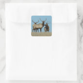 E60 Bull Elk Tegen De Lucht Afgetekend Vierkante Sticker (Tas)