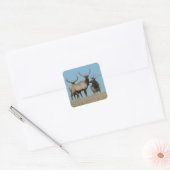 E60 Bull Elk Tegen De Lucht Afgetekend Vierkante Sticker (Envelop)