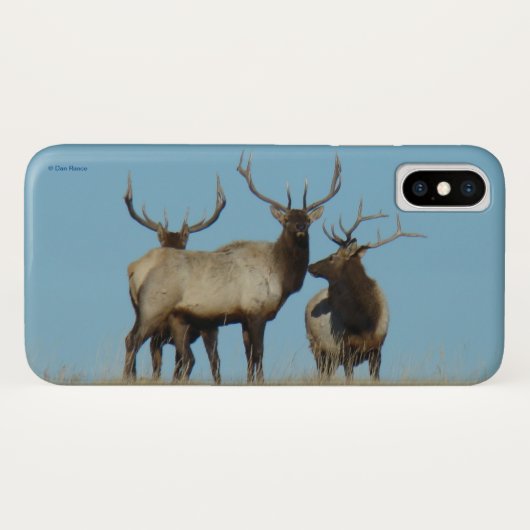 E60 Bull Elk tegen de lucht Case-Mate iPhone Case (Achterkant (horizontaal))