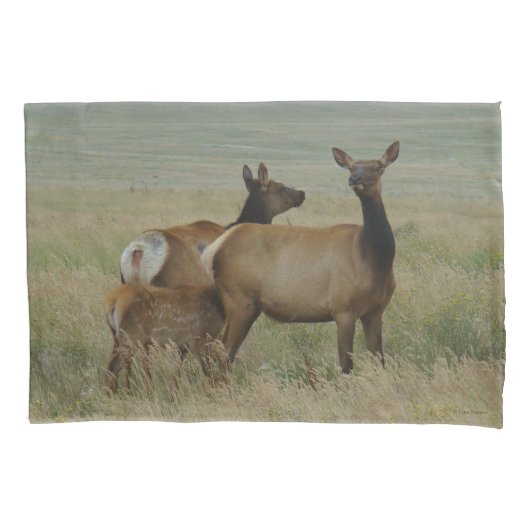 E61 Koe-eland en kalf Kussensloop (Voorkant)