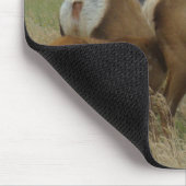 E61 Koe Eland en Kalf Muismat (Hoek)