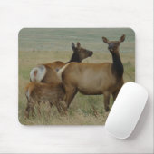 E61 Koe Eland en Kalf Muismat (Met muis)