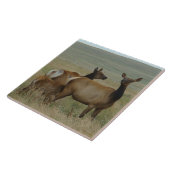 E61 Koe-eland en kalf Tegeltje (Zijkant)