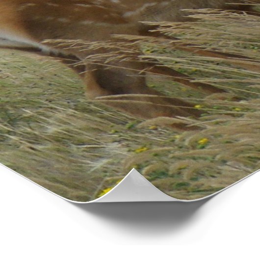 E61 Koe Elk en Calf Poster (Hoek)