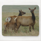 E61 Kow Elk en Calf Muismat (Voorkant)