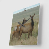 E61 Kow Elk en Calf Vierkante Klok (Hoek)