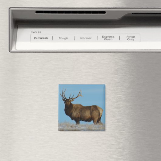 E62 Bull Elk Sky Lined Magneet (Insitu (Vaatwasser))