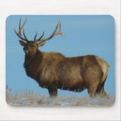 E62 Bull Elk Sky Lined Muismat (Voorkant)