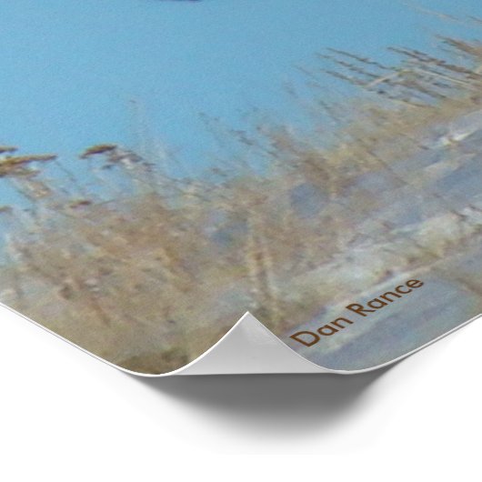 E62 Bull Elk Sky Lined Poster (Hoek)