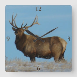 E62 Wapiti Stier Tegen De Lucht Afgetekend Vierkante Klok