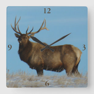 E62 Wapiti Stier Tegen De Lucht Afgetekend Vierkante Klok