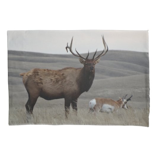 E63 Bull Elk en Antelope Bok Kussensloop (Voorkant)