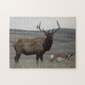 E63 Bull Elk en Pronghorn Antelope Legpuzzel (Horizontaal)