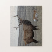 E63 Bull Elk en Pronghorn Antelope Legpuzzel (Verticaal)