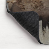 E63 Bull Elk en Pronghorn Antelope Muismat (Hoek)