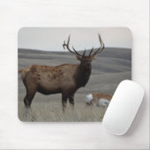 E63 Bull Elk en Pronghorn Antelope Muismat (Met muis)