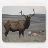 E63 Bull Elk en Pronghorn Antelope Muismat (Voorkant)