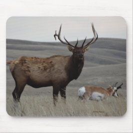 E63 Bull Elk en Pronghorn Antelope Muismat
