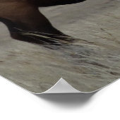 E63 Bull Elk en Pronghorn Antelope Poster (Hoek)