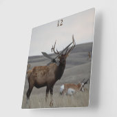 E63 Bull Elk en Pronghorn Antelope Vierkante Klok (Hoek)