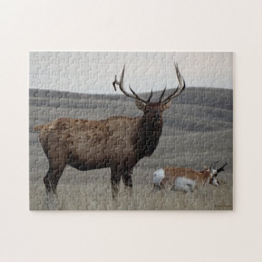 E63 Stiereland en Gaffelbok Legpuzzel (Horizontaal)
