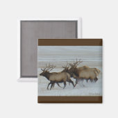 E64 Bull Elk in bedrijf Magneet (Voorkant / Achterkant)