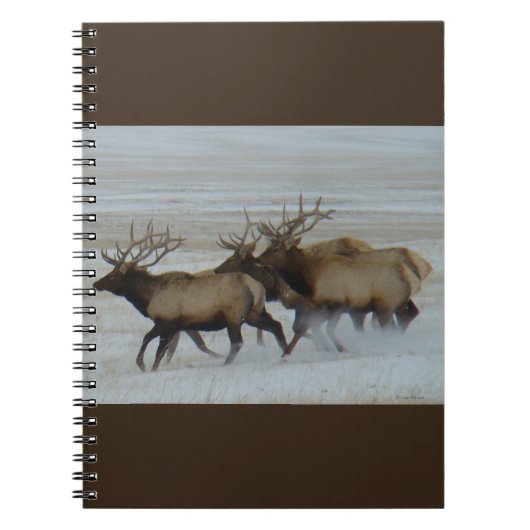 E64 Bull Elk op sneeuw Notitieboek (Voorkant)