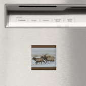 E64 Bull Elk Rent Magneet (Insitu (Vaatwasser))