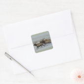 E64 Bulleneland Rent Vierkante Sticker (Envelop)