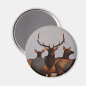 E66 Elk bull en Koeien Magneet (Voorkant / Achterkant)