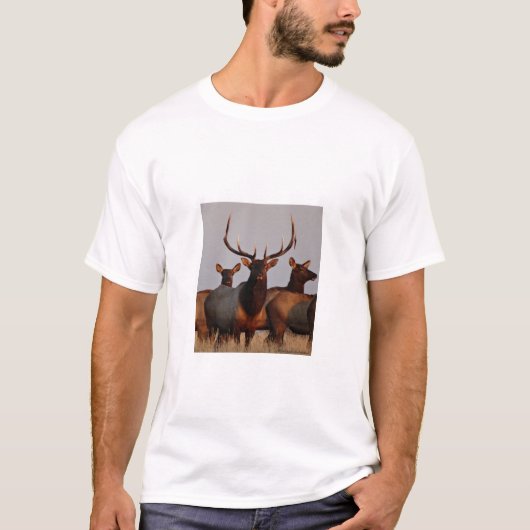 E66 Elk bull en Koeien T-shirt (Voorkant)